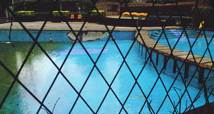 Lanai Screen Repair in San Carlos, CA