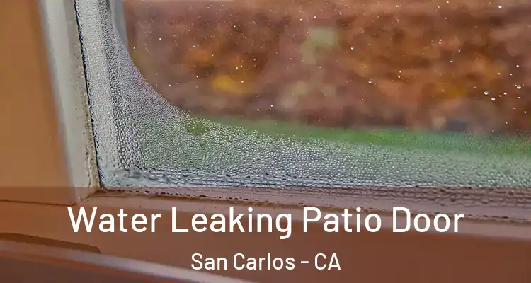  Water Leaking Patio Door San Carlos - CA